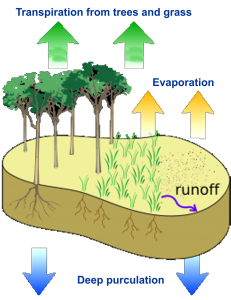 water-cycle