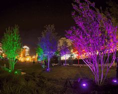 Multi Color Lit Trees