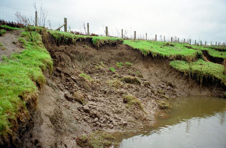 what-is-soil-erosion-definition-types-causes-prevention-2022