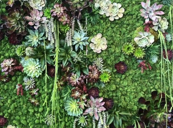 Green Industry Women Biophilia green wall