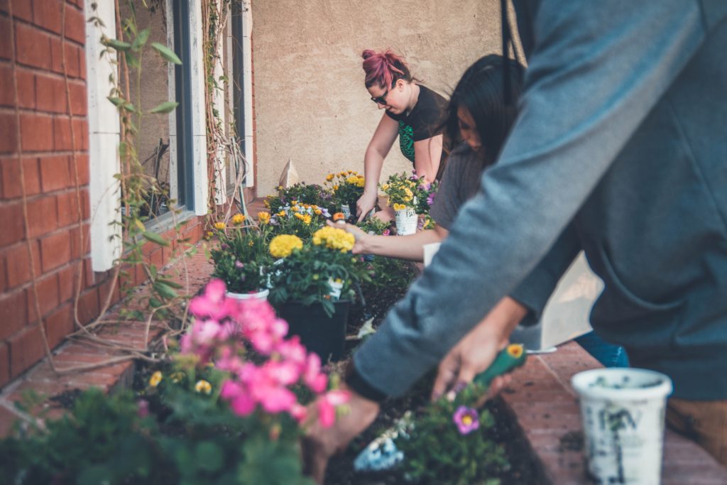 Millennial Landscapers - article by Wolf Creek Company. Image Neonbrand, Unsplash