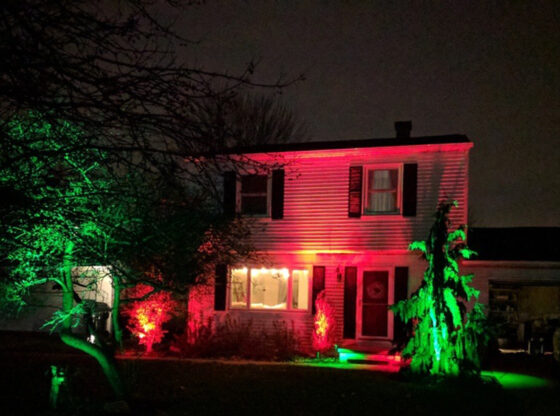 Fun Holiday Lighting with Alliance Bluetooth Bullet