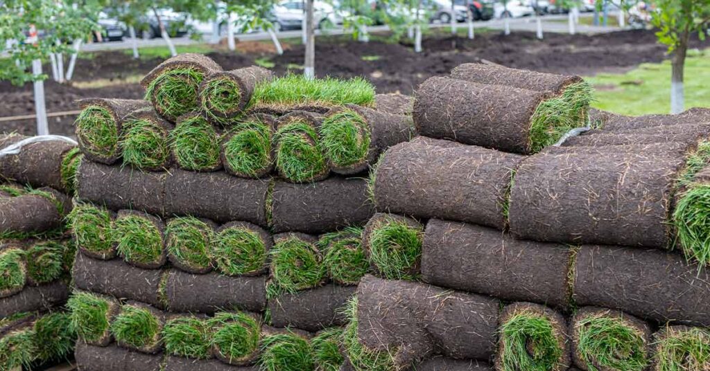 This is a picture of rolled up turf grass for commercial landscaping.